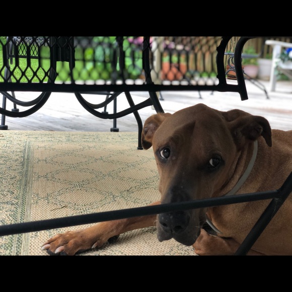 Meet your Posher, Stacey - Picture 6 of 8